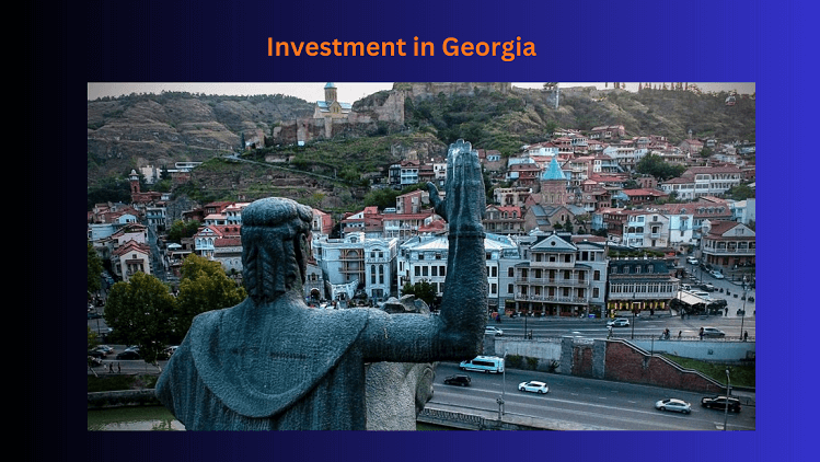 Investment in Georgia