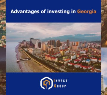 The Advantages of Investing in Georgia